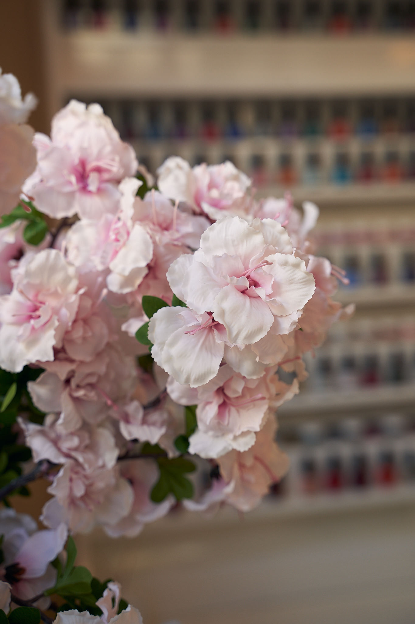 16-10-21_13-41-00_Engel_Beauty_Opening_0010